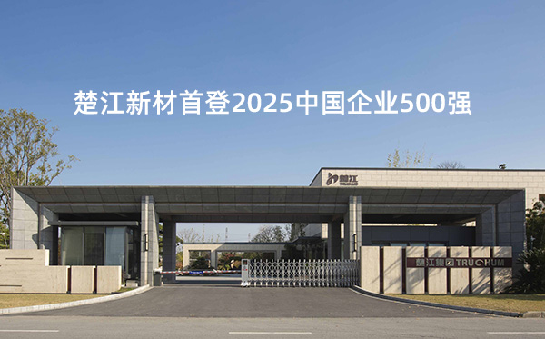 楚江新材首登2025中國(guó)企業(yè)500強(qiáng)